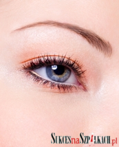 Modern fashion makeup of a female eye - macro shot